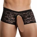 Boxer Bottomless en dentelle Crocthless Noir - Male Power