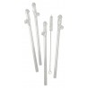 Paille en Verre en Forme de Pénis avec Brosse de Nettoyage Willy - 4 pièces