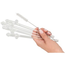 Paille en Verre en Forme de Pénis avec Brosse de Nettoyage Willy - 4 pièces