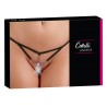 String Seestern - Cottelli - S/M