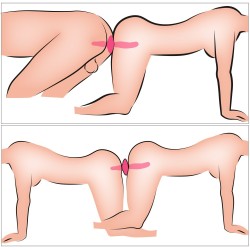COUPLES CHOICE - VIBROMASSEUR  2en1 + Butt Plug POUR COUPLE