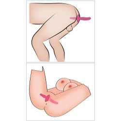 COUPLES CHOICE - VIBROMASSEUR  2en1 + Butt Plug POUR COUPLE