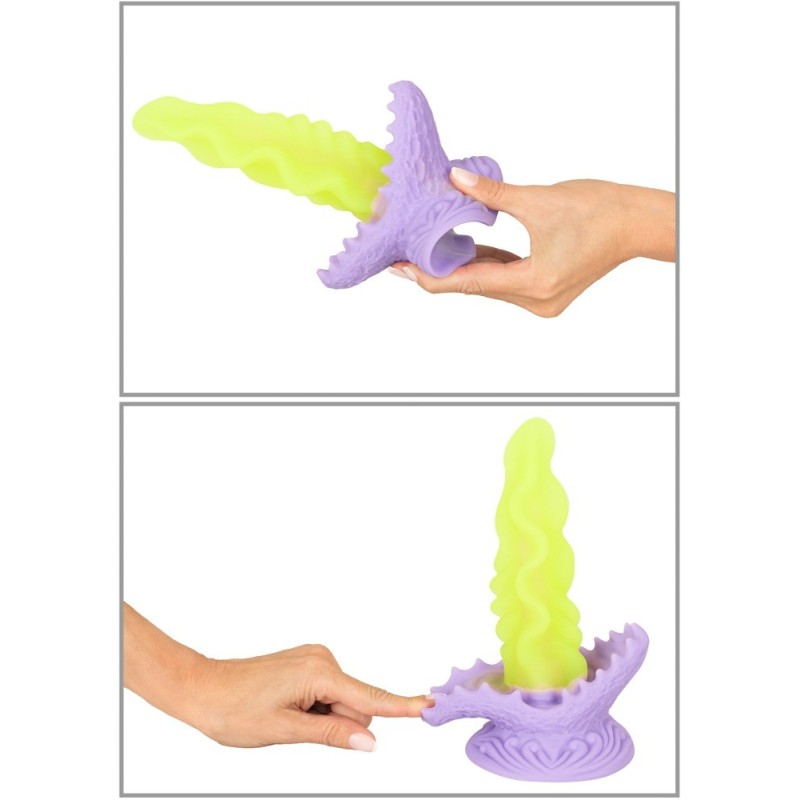 Beasty Cock -Le gode lumineux - Passion Plant