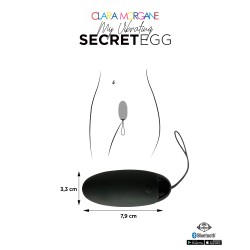 My Vibrating Secret EGG Black