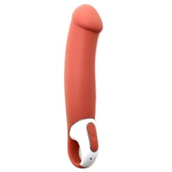 Master Vibromasseur Rechargeable Satisfyer