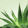 Gel de Massage Nuru Aloe vera 150 ml Mixgliss NÜ