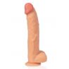 Prodigy Gode réaliste ventouse 34.5 cm Captain Red