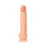 Prodigy Gode réaliste ventouse 34.5 cm Captain Red